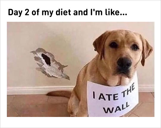 Day-2-of-my-diet